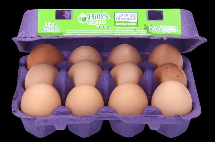 Huevo Libre Pastoreo HILLYS FARM BY HEB 12 piezas